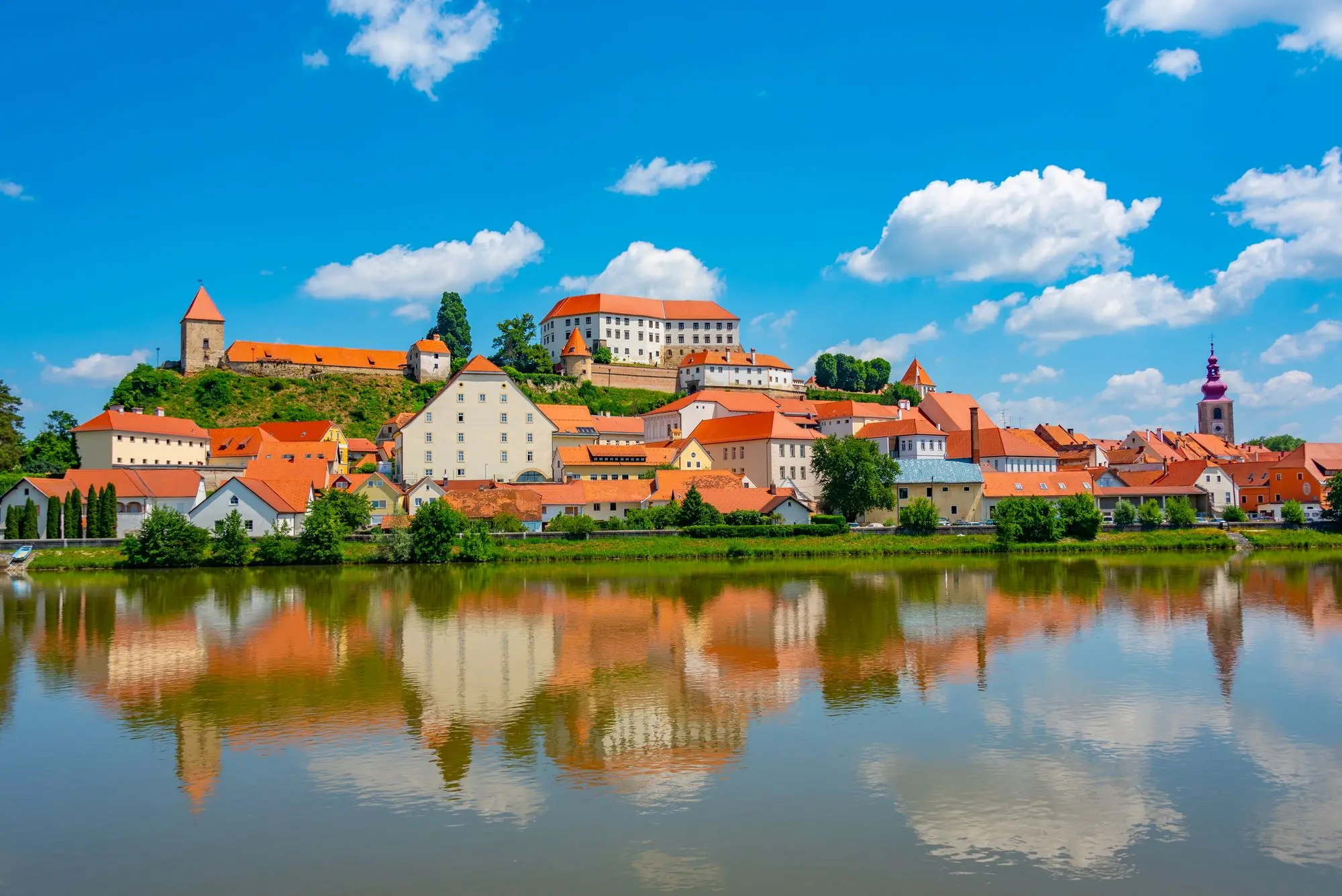 Kombi prevoz do Ptuja